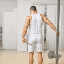 Behind-the-Back Cable Lateral Raise