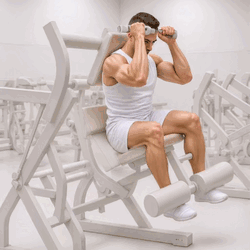 Oblique Crunch Machine