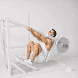 Pendulum Squat Maschine