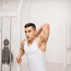 Einarmige Überkopf-Trizepsstreckung am Kabel